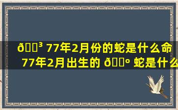 🐳 77年2月份的蛇是什么命（77年2月出生的 🐺 蛇是什么命今年婚姻怎么样）